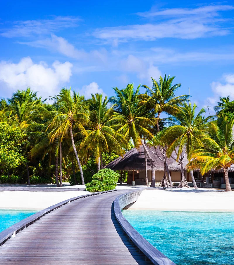 Boardwalk leading to a tropical island